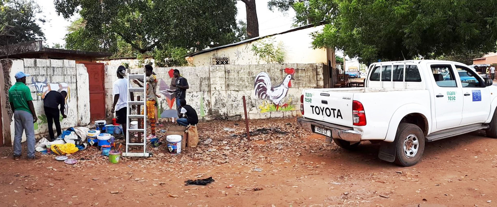 street art graffiti animali Mani Tese Guinea Bissau 2017