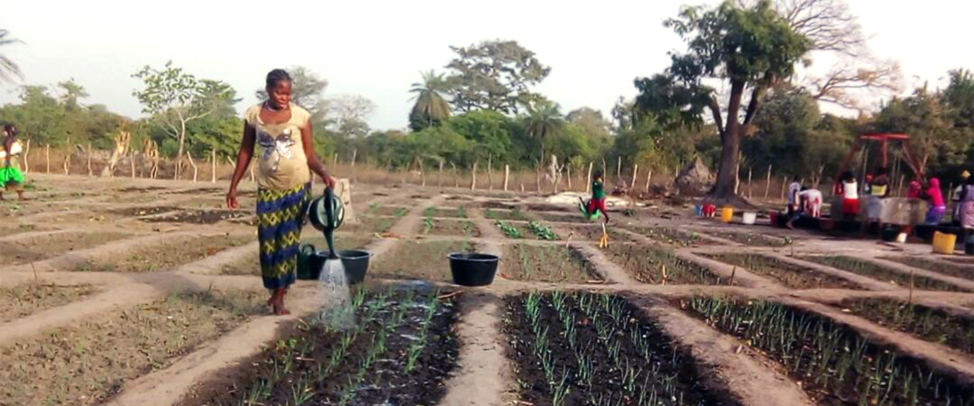 irrigazione orto barracabiro donna Guinea Bissau Mani Tese 2018