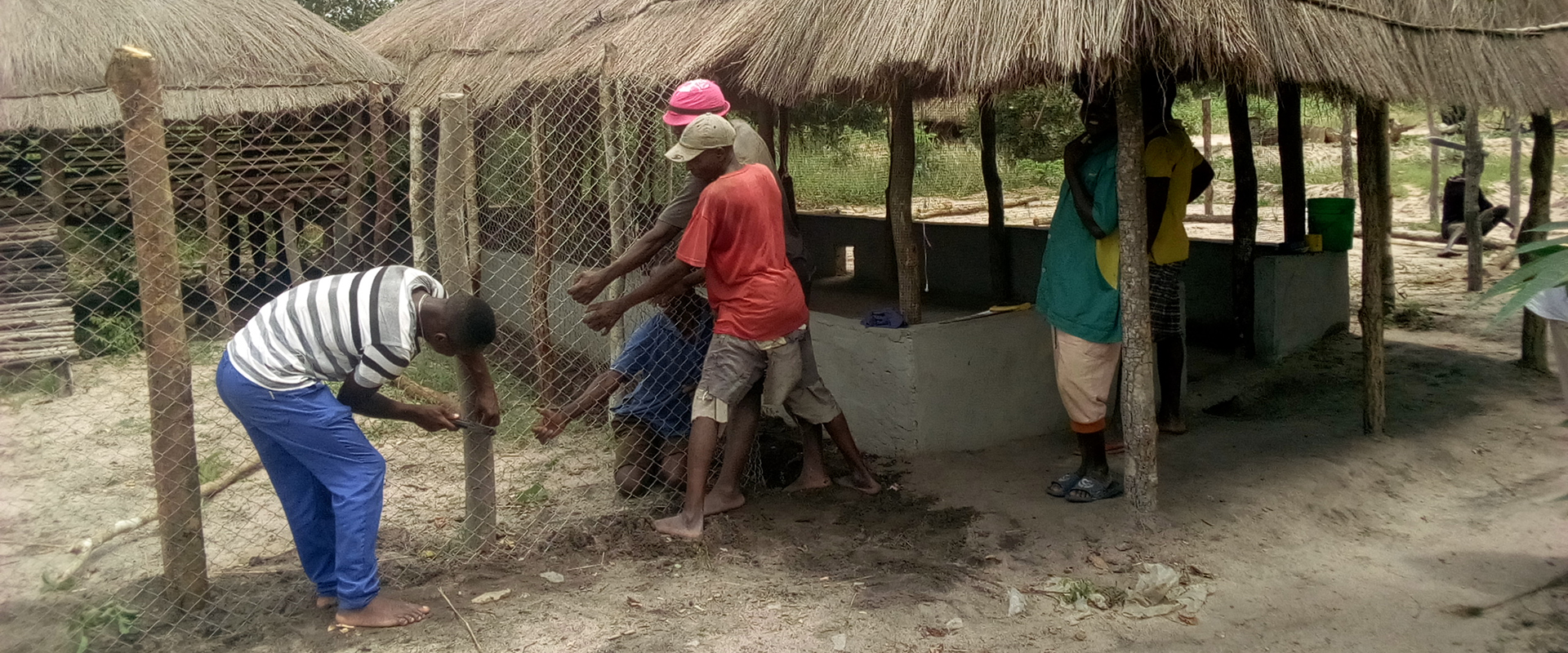 recinzione capre attività zootecniche mozambico mani tese 2019