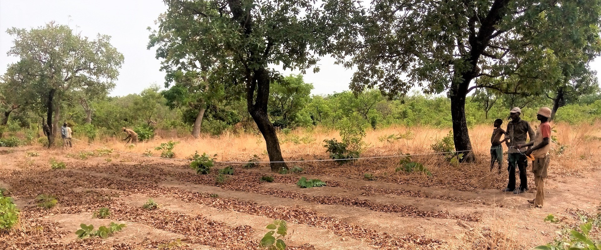 Benin siccità piogge agricoltura mani tese 2021